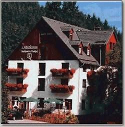 Landhotel Osterlamm Beierfeld Екстериор снимка